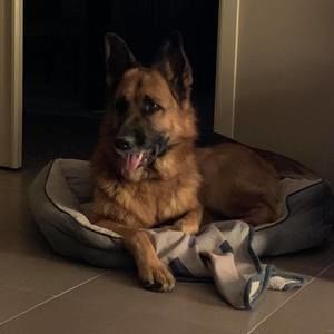 Meet your Posher, Tania